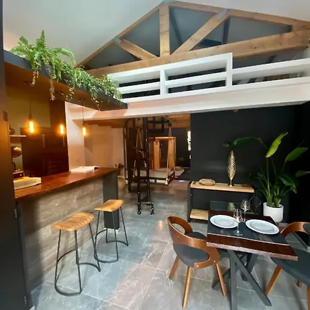 בית נופש Pasithea Loft Privatif *