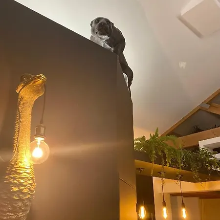 Pasithéa Loft Privatif Hébergement de vacances