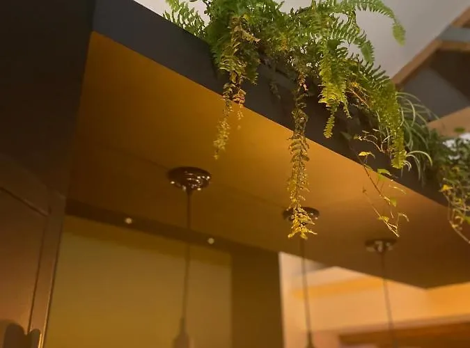 Pasithéa Loft Privatif *