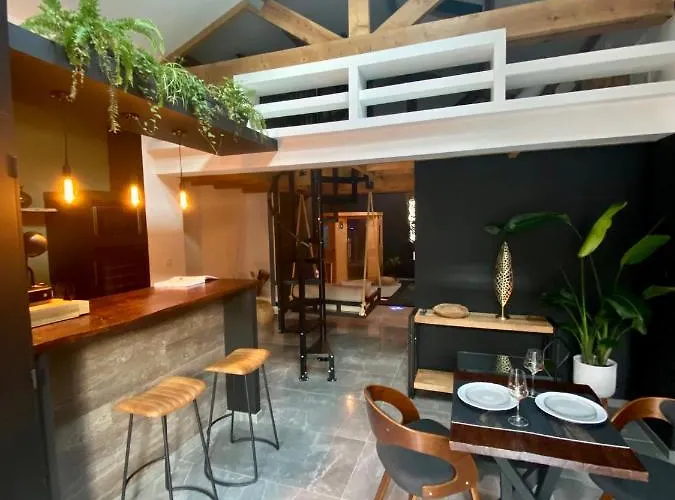 Hébergement de vacances Pasithéa Loft Privatif *